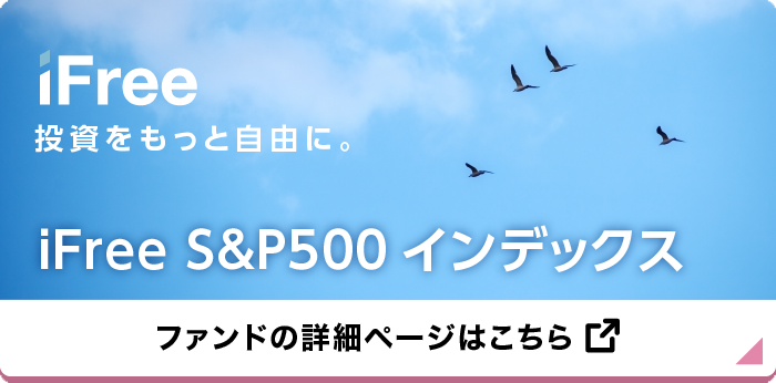 iFree S&P500 インデックス