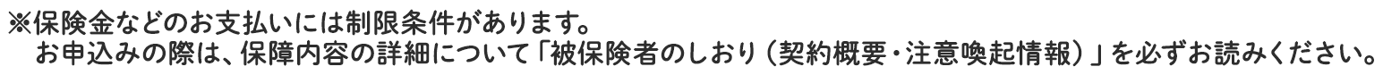 ※保険金などのお支払いには制限条件があります。お申込みの際は、保障内容の詳細について「被保険者のしおり（契約概要・注意喚起情報）」を必ずお読みください。